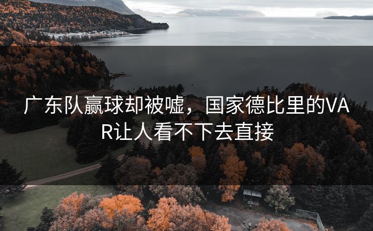 广东队赢球却被嘘，国家德比里的VAR让人看不下去直接