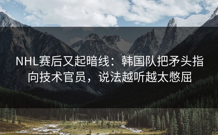 NHL赛后又起暗线：韩国队把矛头指向技术官员，说法越听越太憋屈