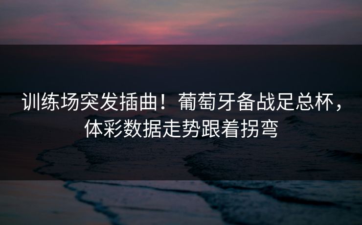 训练场突发插曲！葡萄牙备战足总杯，体彩数据走势跟着拐弯